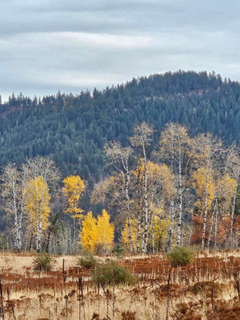 3390 Spirit Rdg Way Rice, WA 99167 - Photo 11 of 19