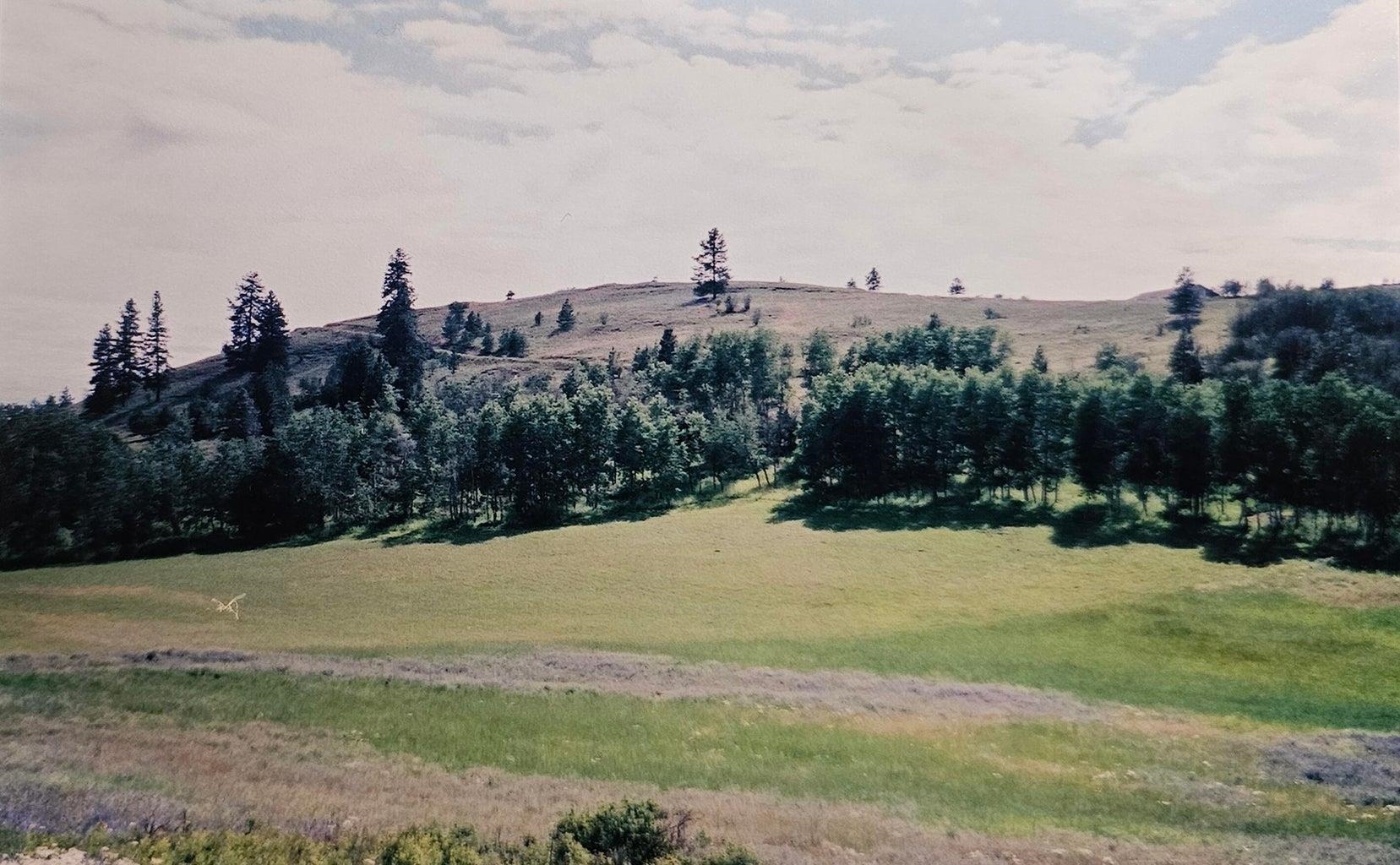 3390 Spirit Rdg Way Rice, WA 99167 - Photo 12 of 19