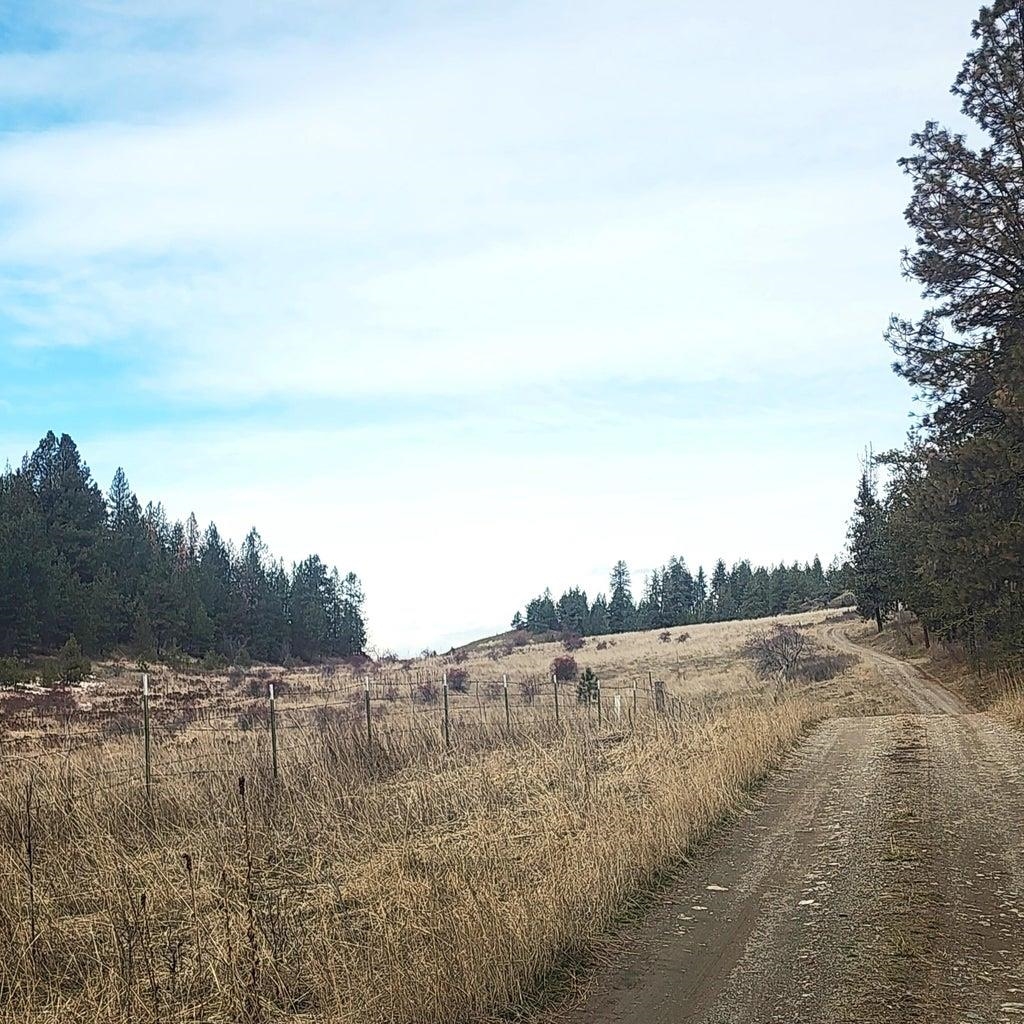 3390 Spirit Rdg Way Rice, WA 99167 - Photo 16 of 19