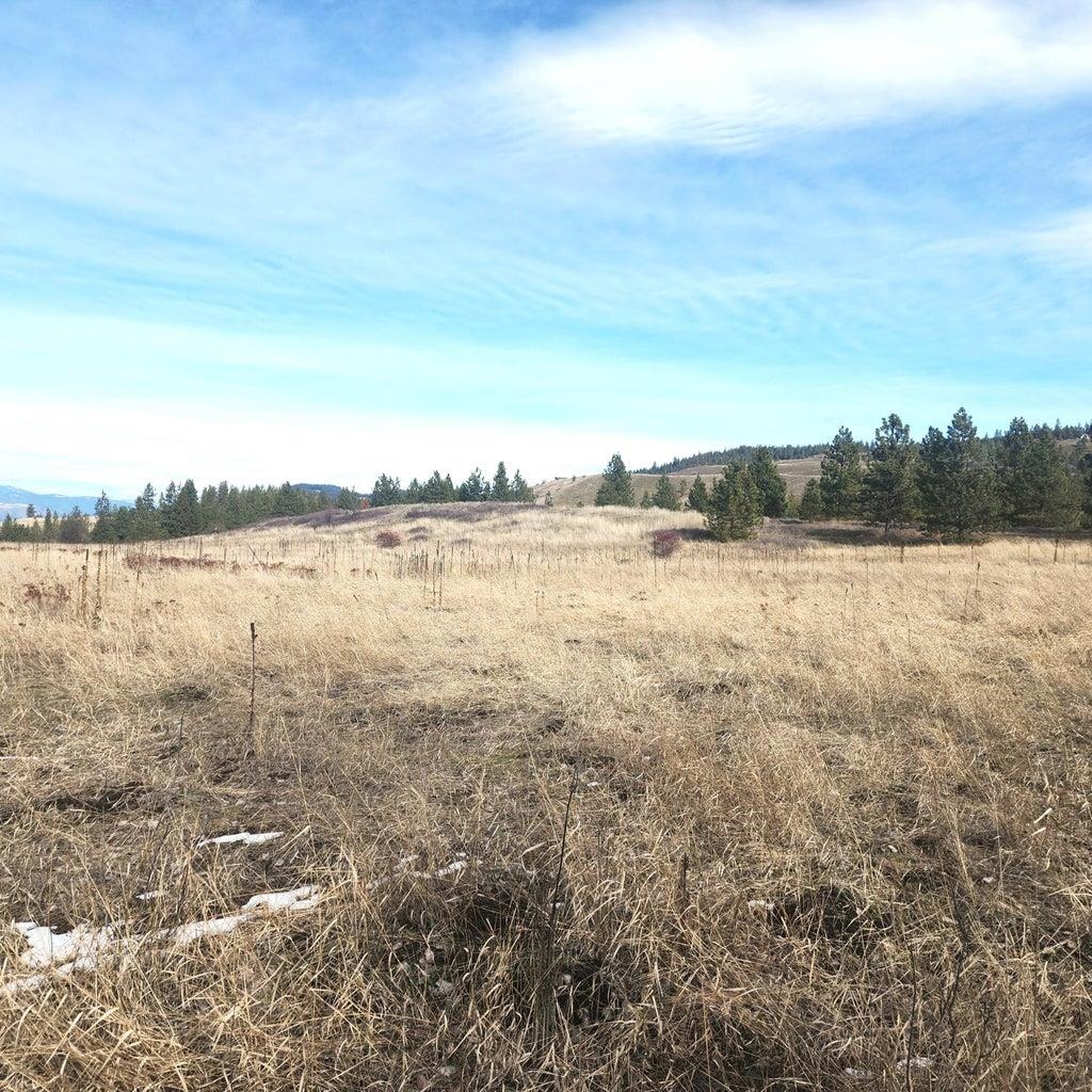 3390 Spirit Rdg Way Rice, WA 99167 - Photo 19 of 19