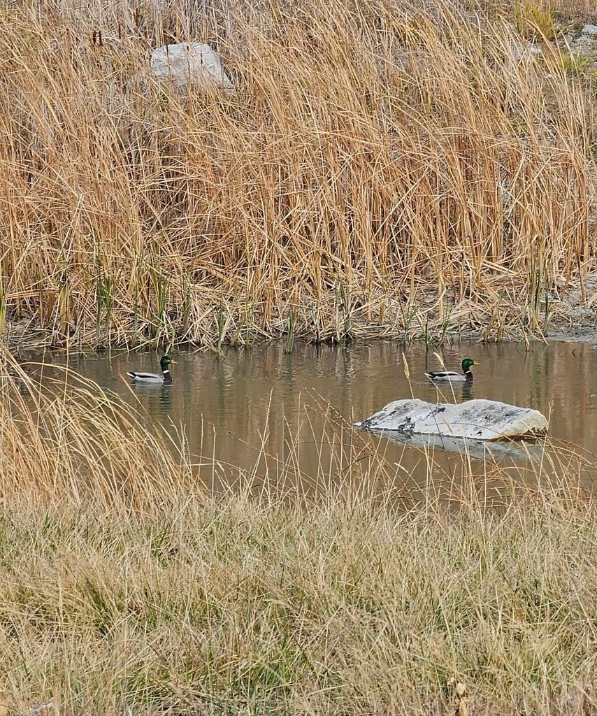 3390 Spirit Rdg Way Rice, WA 99167 - Photo 2 of 19