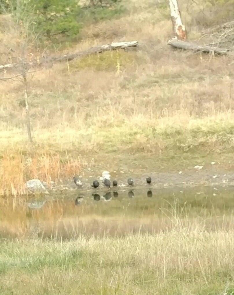 3390 Spirit Rdg Way Rice, WA 99167 - Photo 4 of 19