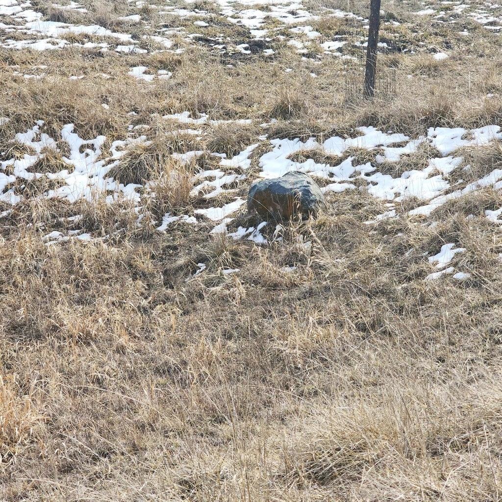 3390 Spirit Rdg Way Rice, WA 99167 - Photo 5 of 19