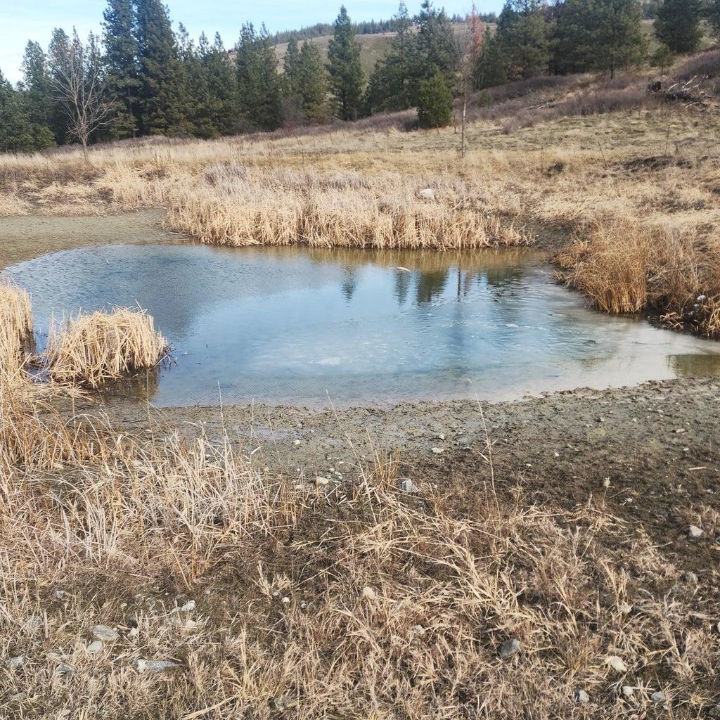 3390 Spirit Rdg Way Rice, WA 99167 - Photo 6 of 19