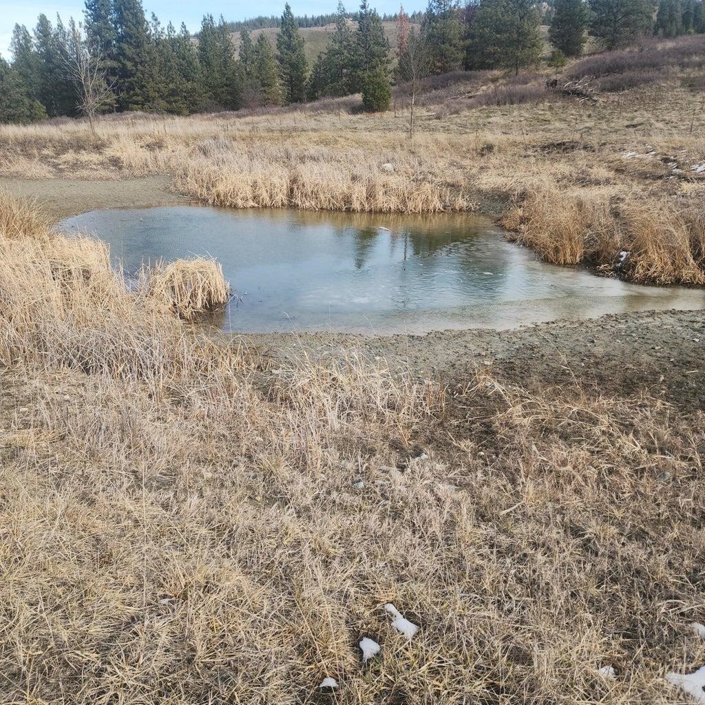 3390 Spirit Rdg Way Rice, WA 99167 - Photo 9 of 19