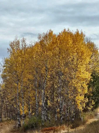 $329,000 | 3390 Spirit Rdg Way, Rice, WA 99167