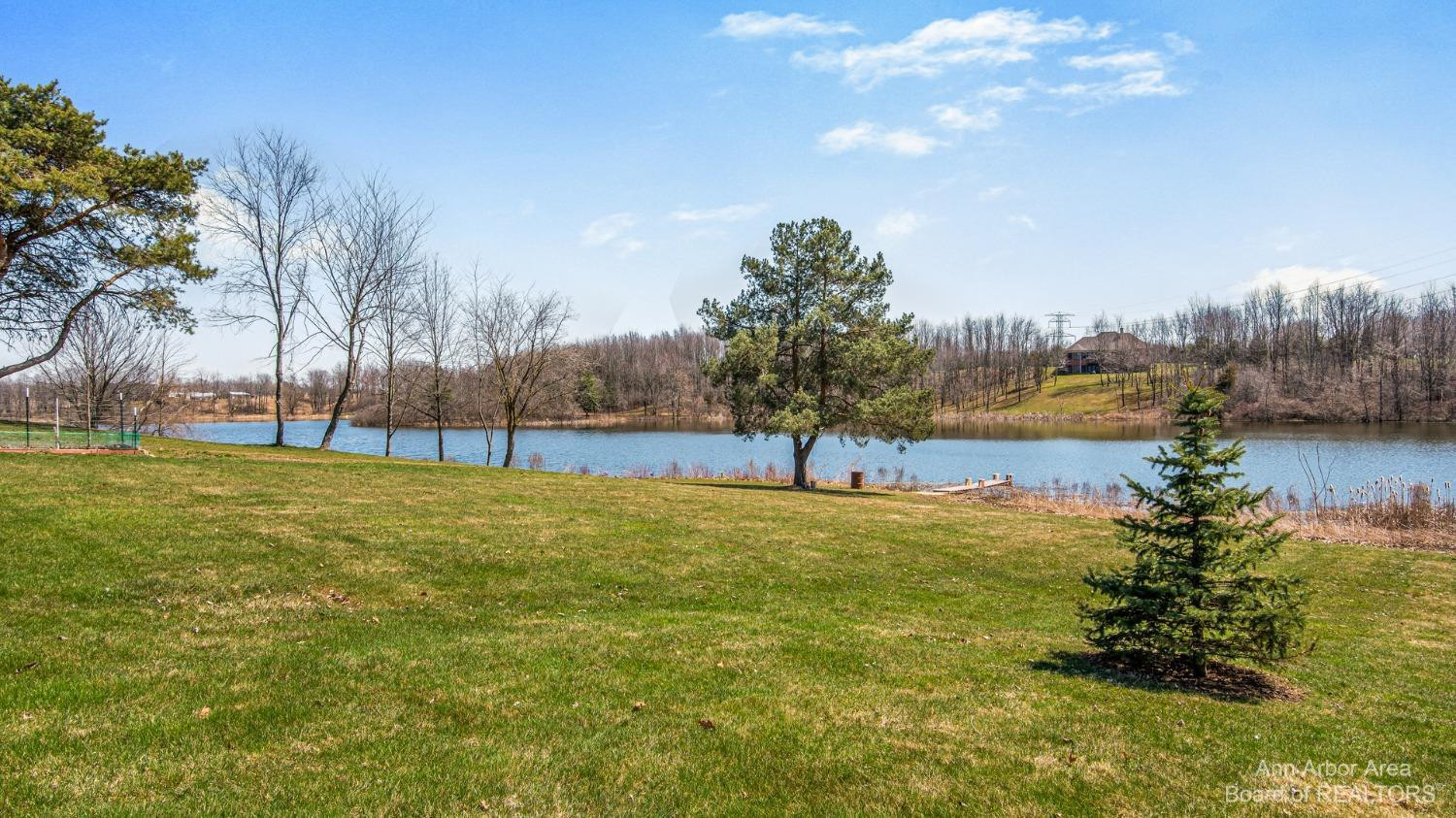 6859 Daly Road Dexter, MI 48130 - Photo 4 of 83 Photo 4