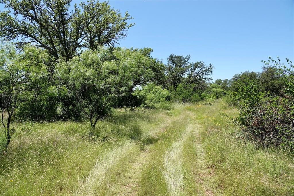 219 C R 550 Mullin, TX 76864 - Photo 16 of 37 a view of a lush green space