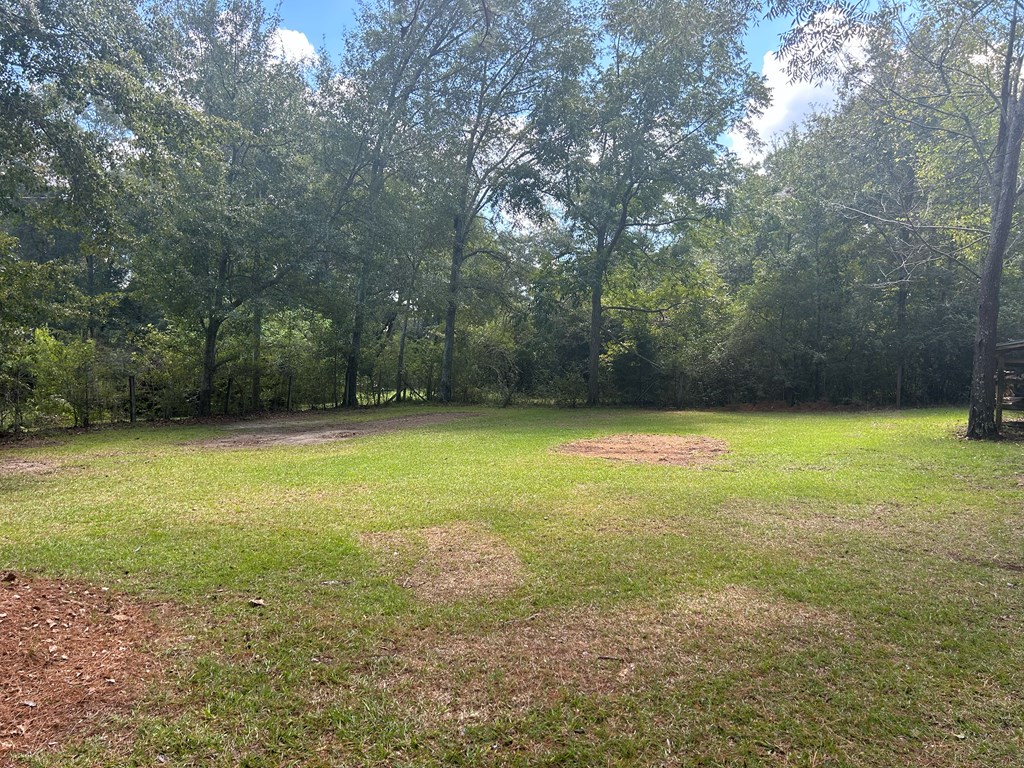 478 Gene Terry Road Dothan, AL 36301 - Photo 46 of 56