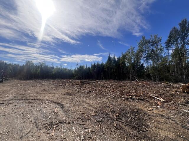 Lot 4.3 Off Estabrook Road Orient, ME 04471 - Photo 10 of 17 IMG_2731