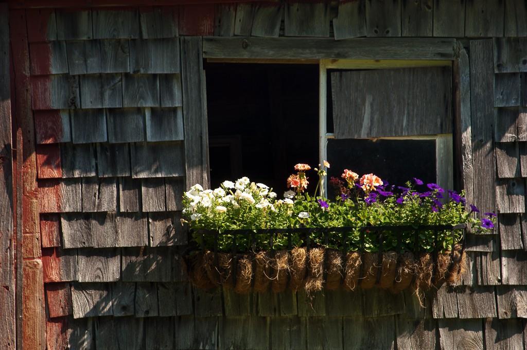 618 South Clary Road Jefferson, ME 04348 - Photo 24 of 25 Potting shed window box.