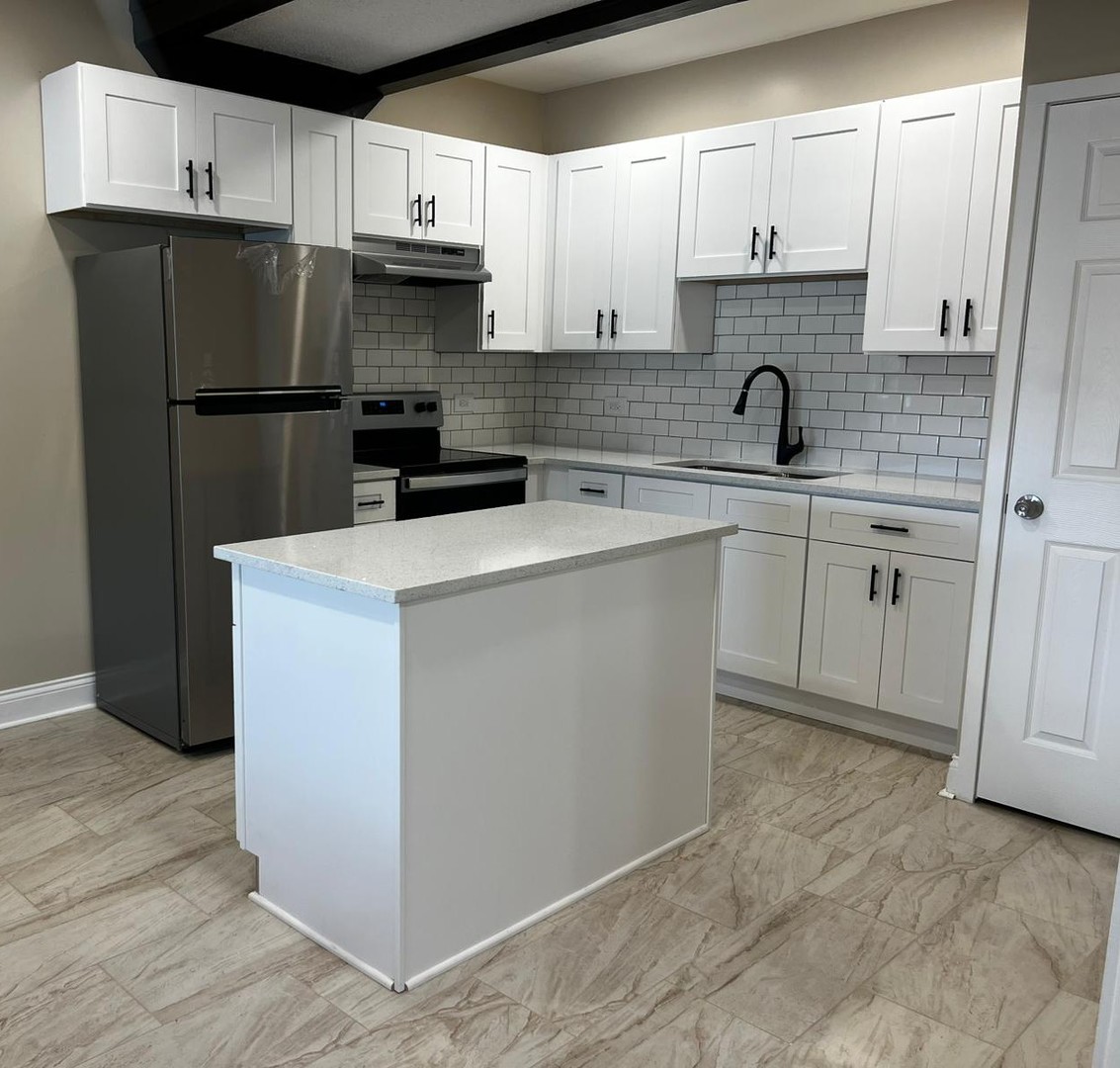 10102 Main Street, Unit 2B Hebron, IL 60034 - Photo 4 of 18 a kitchen with a sink a refrigerator and cabinets