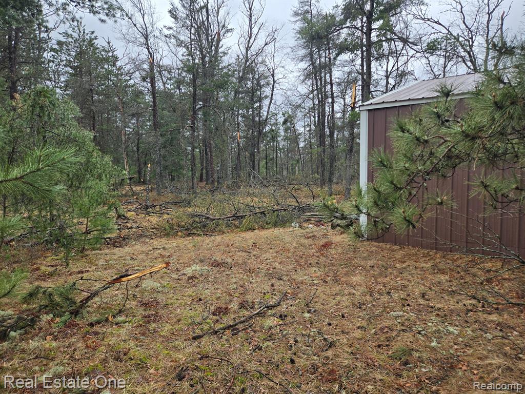 3774 South Stephan Bridge Road Grayling, MI 49738 - Photo 9 of 26 Gallery Image 9