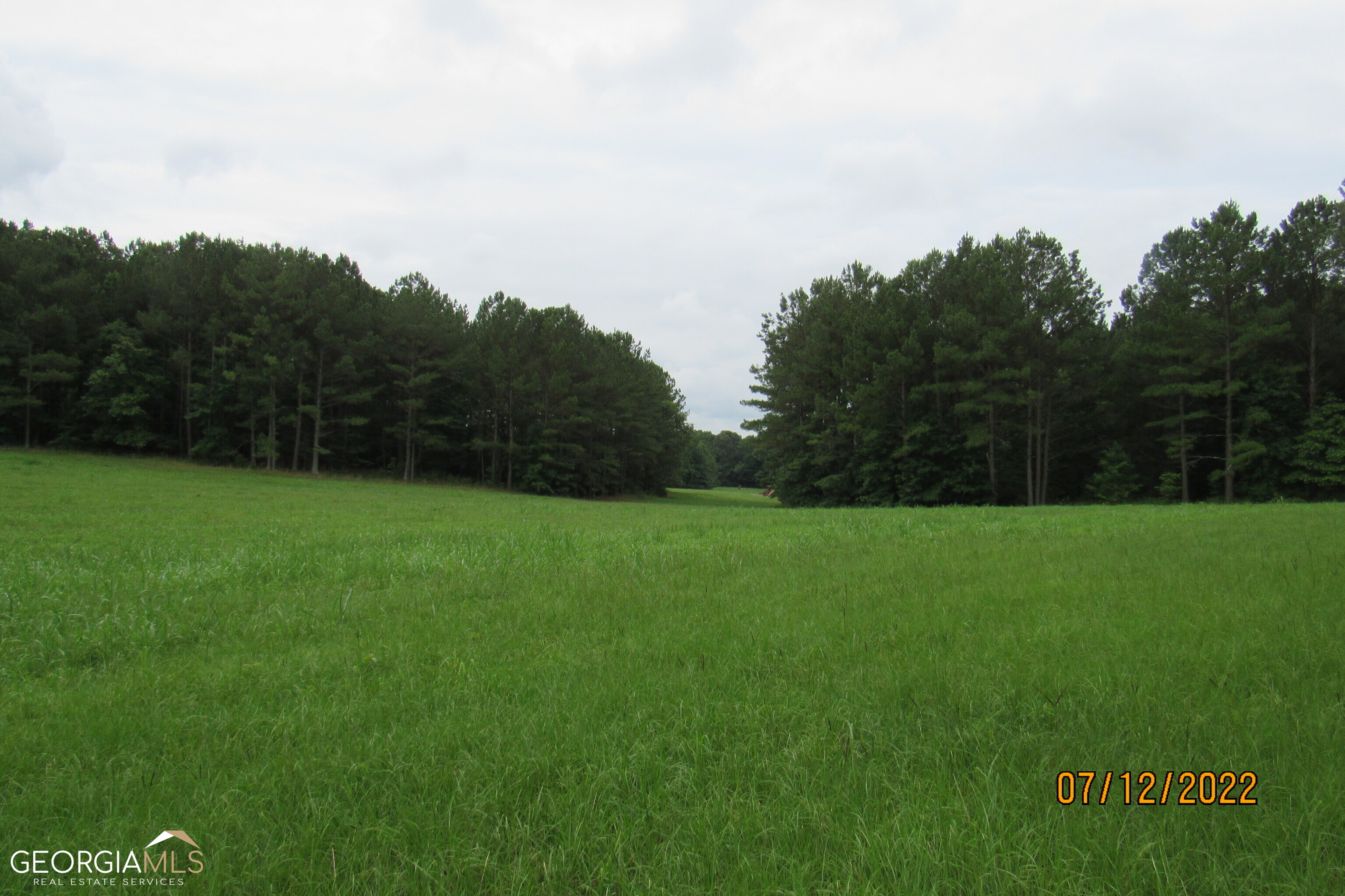 0 Shepherd Road Madison, GA 30650 - Photo 1 of 1 a view of a field of grass and trees