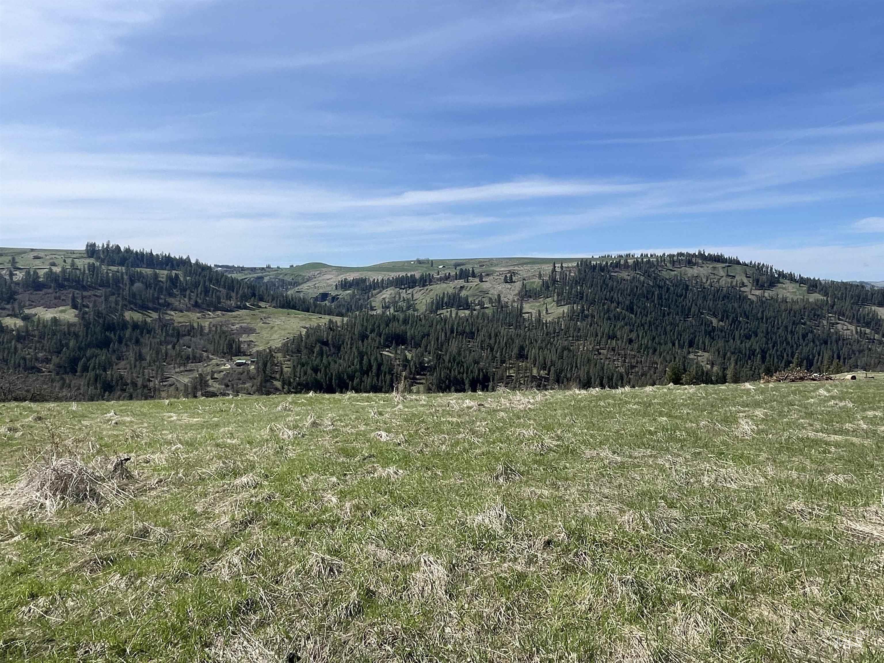 Tbd Wagonwheel Road Stites, ID 83552 - Photo 16 of 25