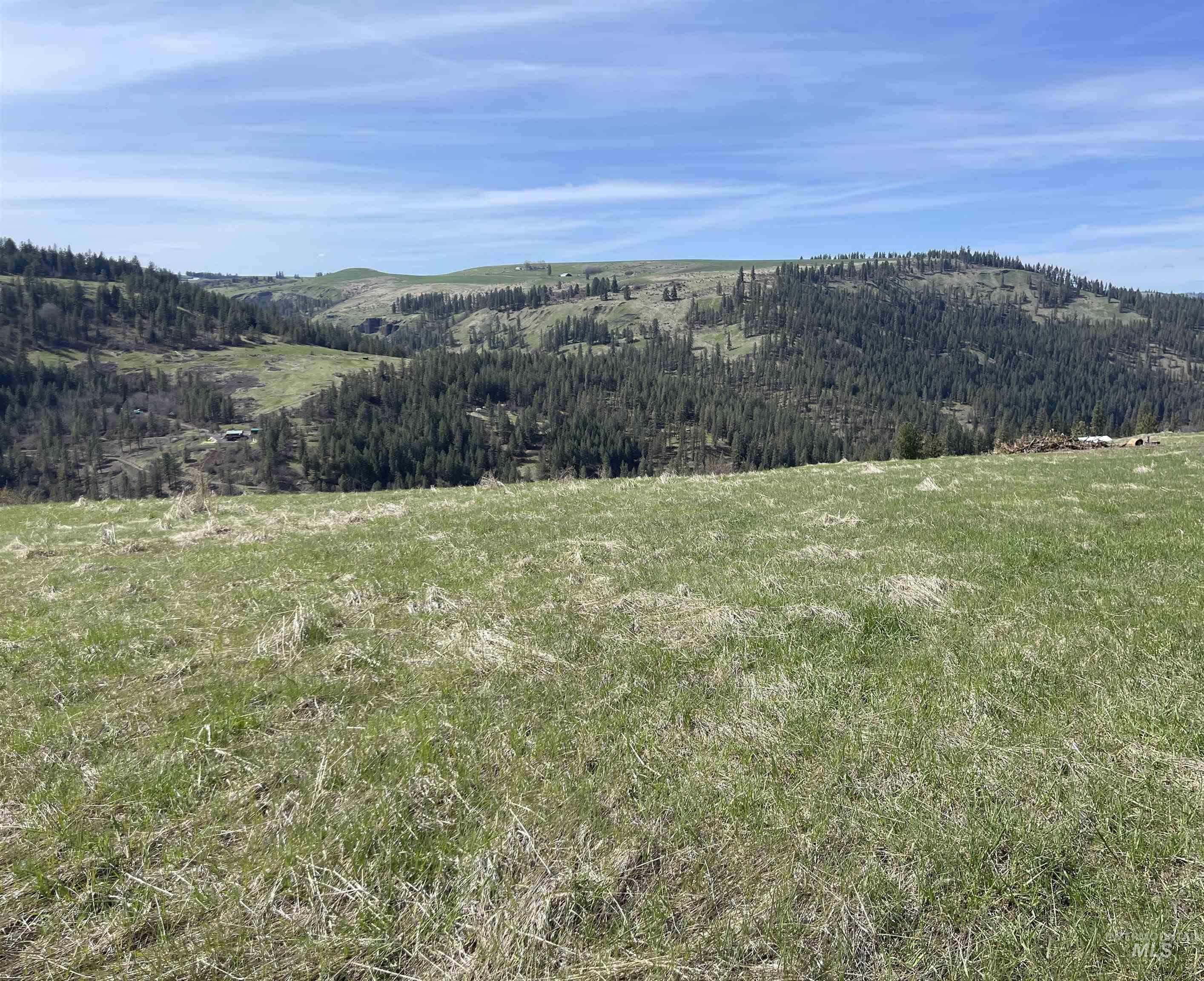 Tbd Wagonwheel Road Stites, ID 83552 - Photo 17 of 25