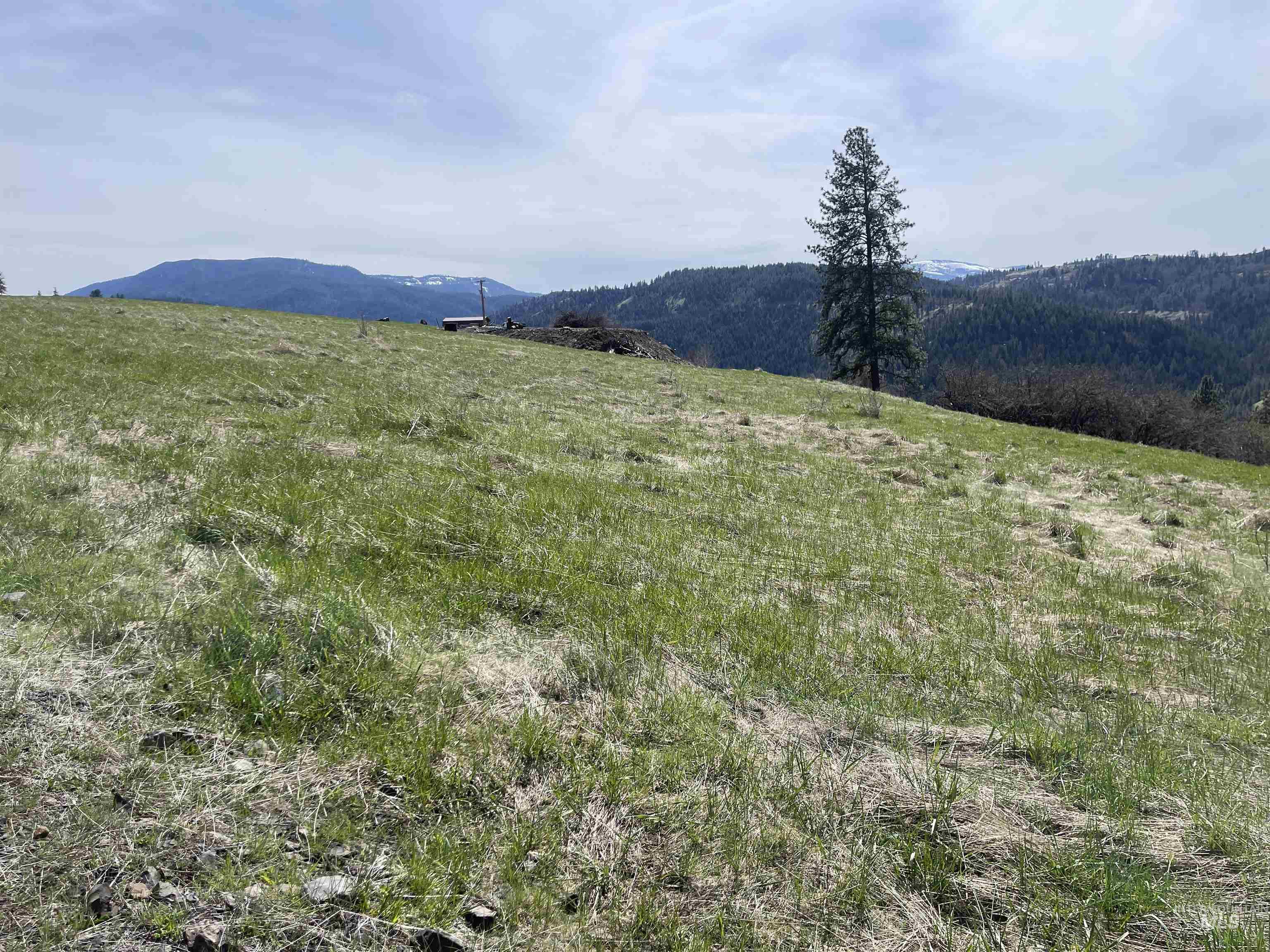 Tbd Wagonwheel Road Stites, ID 83552 - Photo 2 of 25