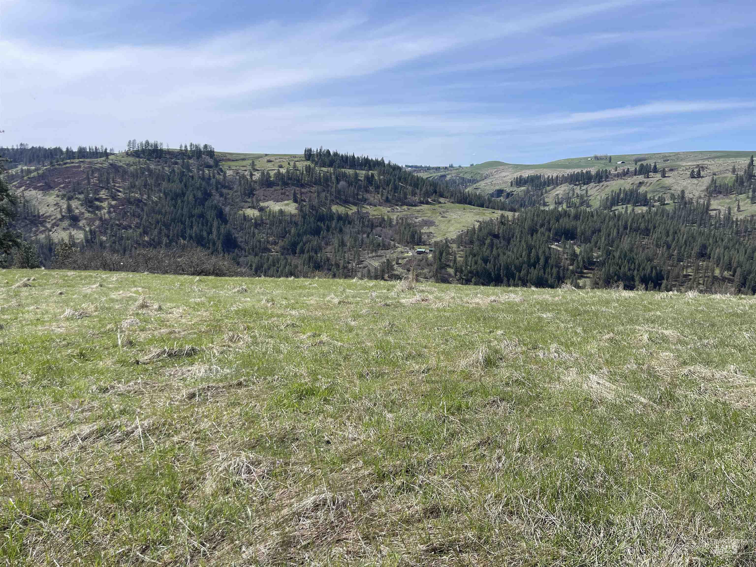 Tbd Wagonwheel Road Stites, ID 83552 - Photo 3 of 25