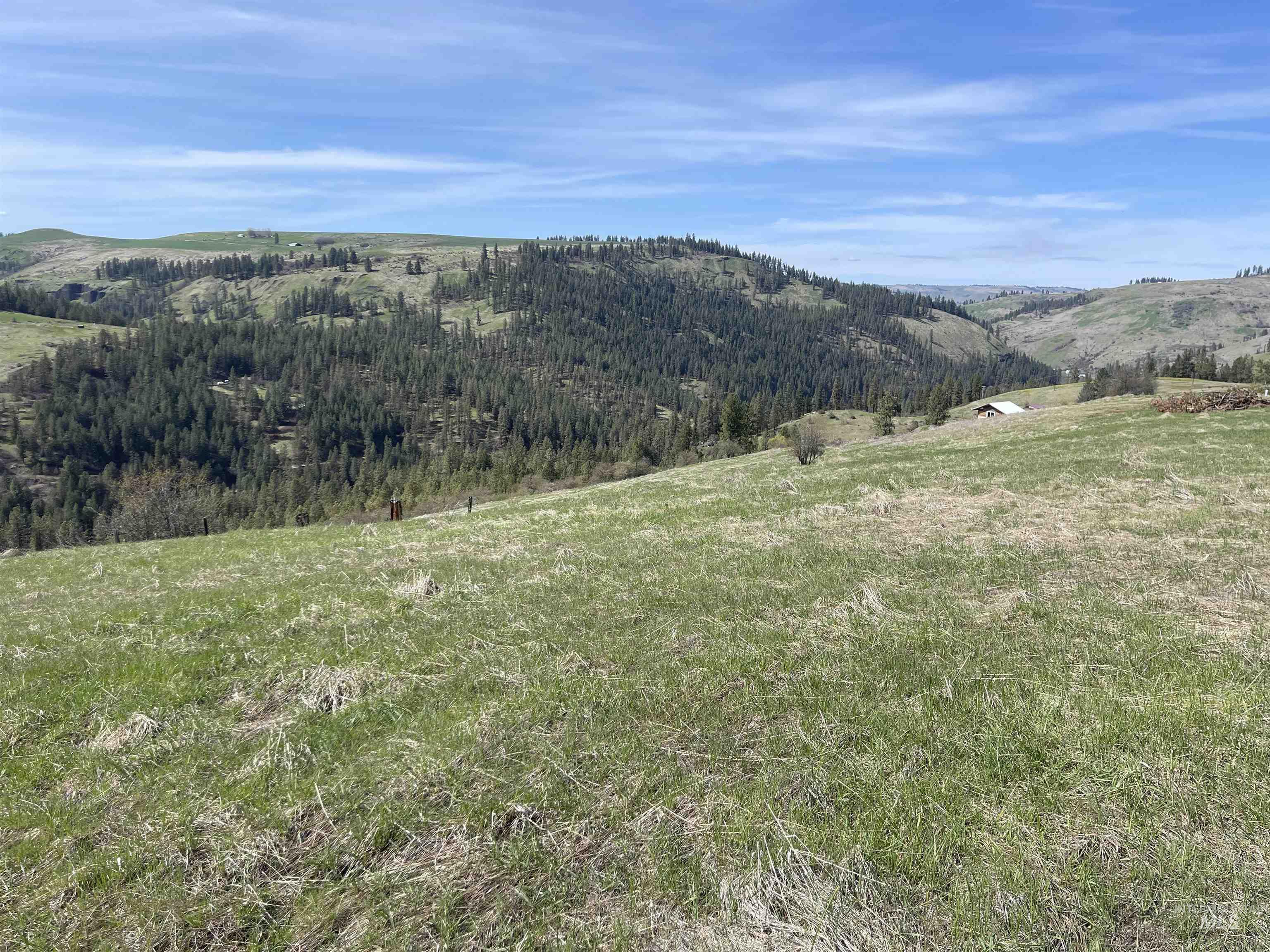 Tbd Wagonwheel Road Stites, ID 83552 - Photo 7 of 25