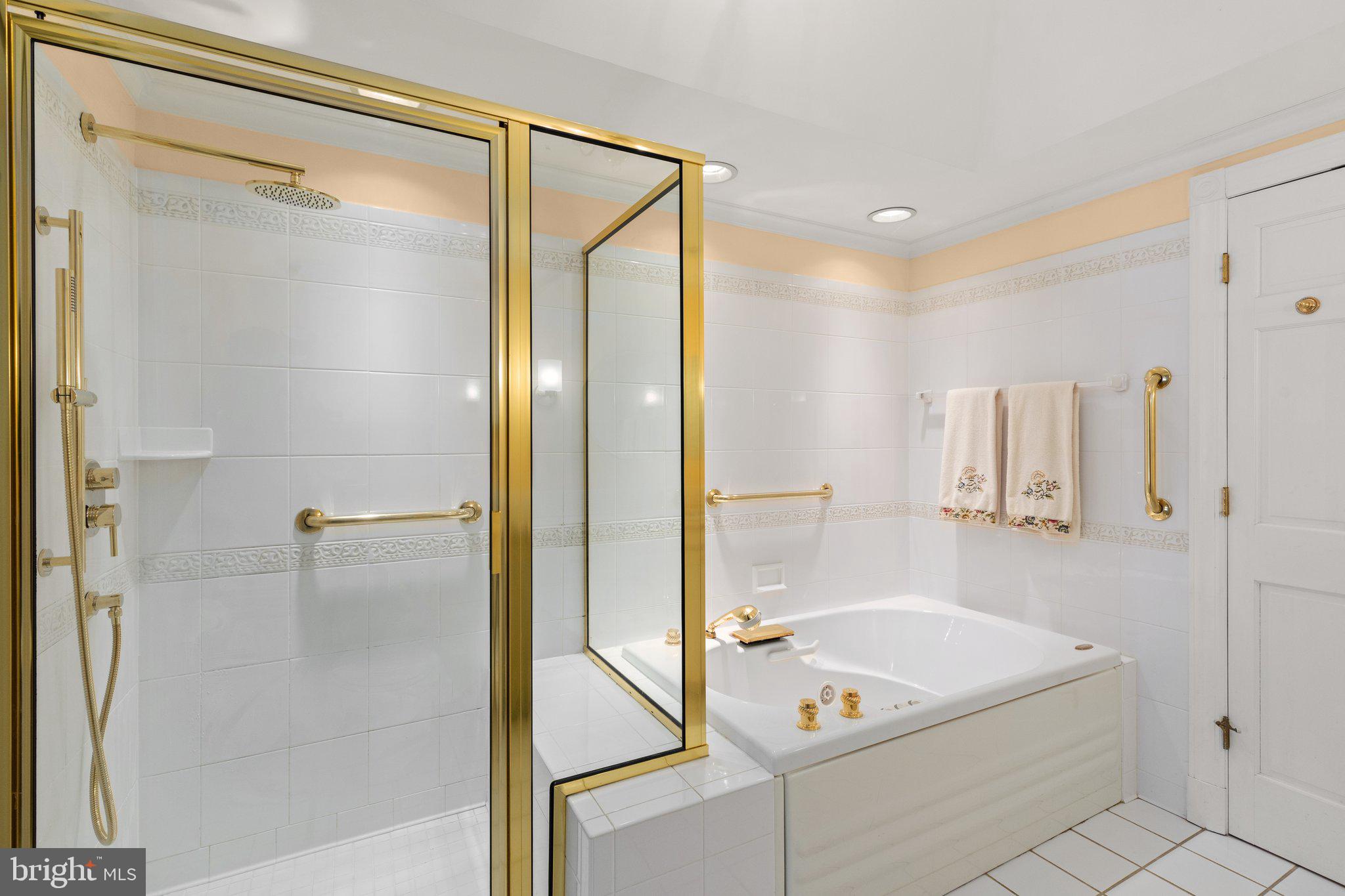 202 Ferndale Road Aberdeen, MD 21001 - Photo 22 of 41 main suite walk in shower & soaking tub