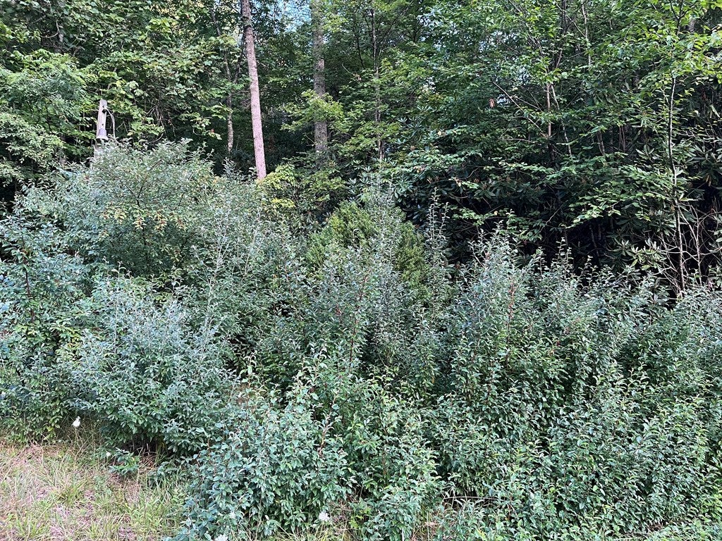0 Old Ferry Road, Unit 76A1B Galax, VA 24333 - Photo 3 of 23 Gallery Image 3