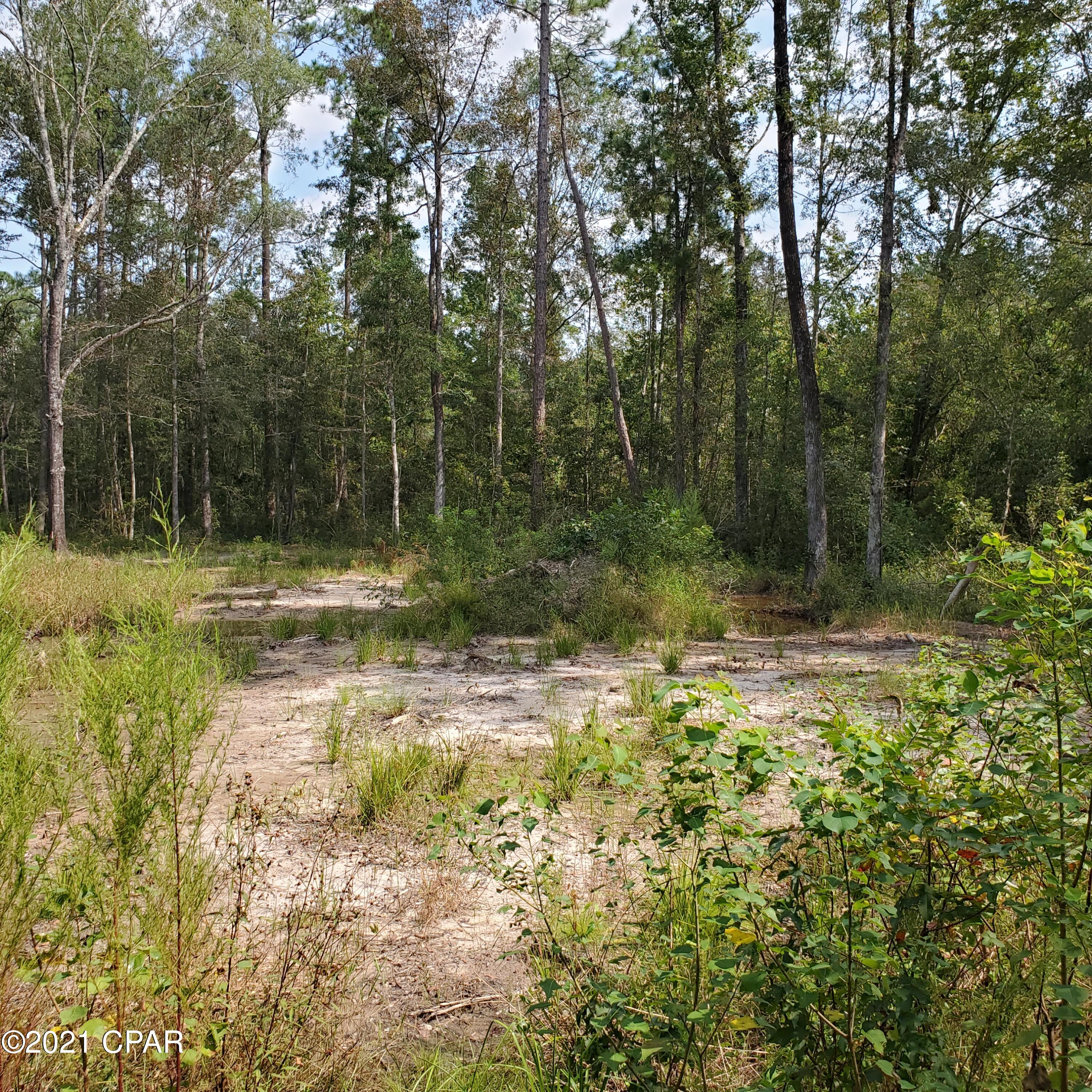 2848 Prospect Road Vernon, FL 32462 - Photo 4 of 6 Gallery Image 4