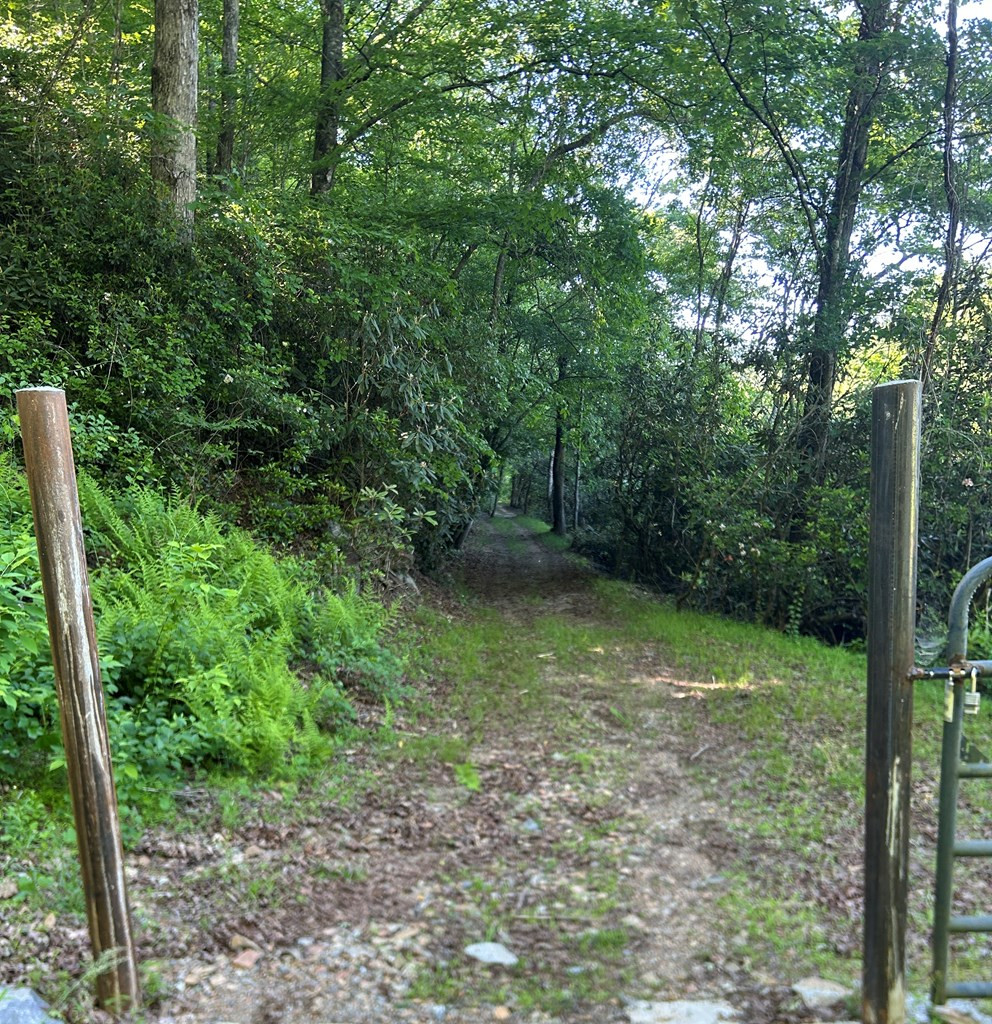 Lot 38 River Ridge Murphy, NC 28906 - Photo 7 of 16