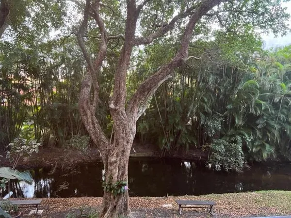 a view of a yard