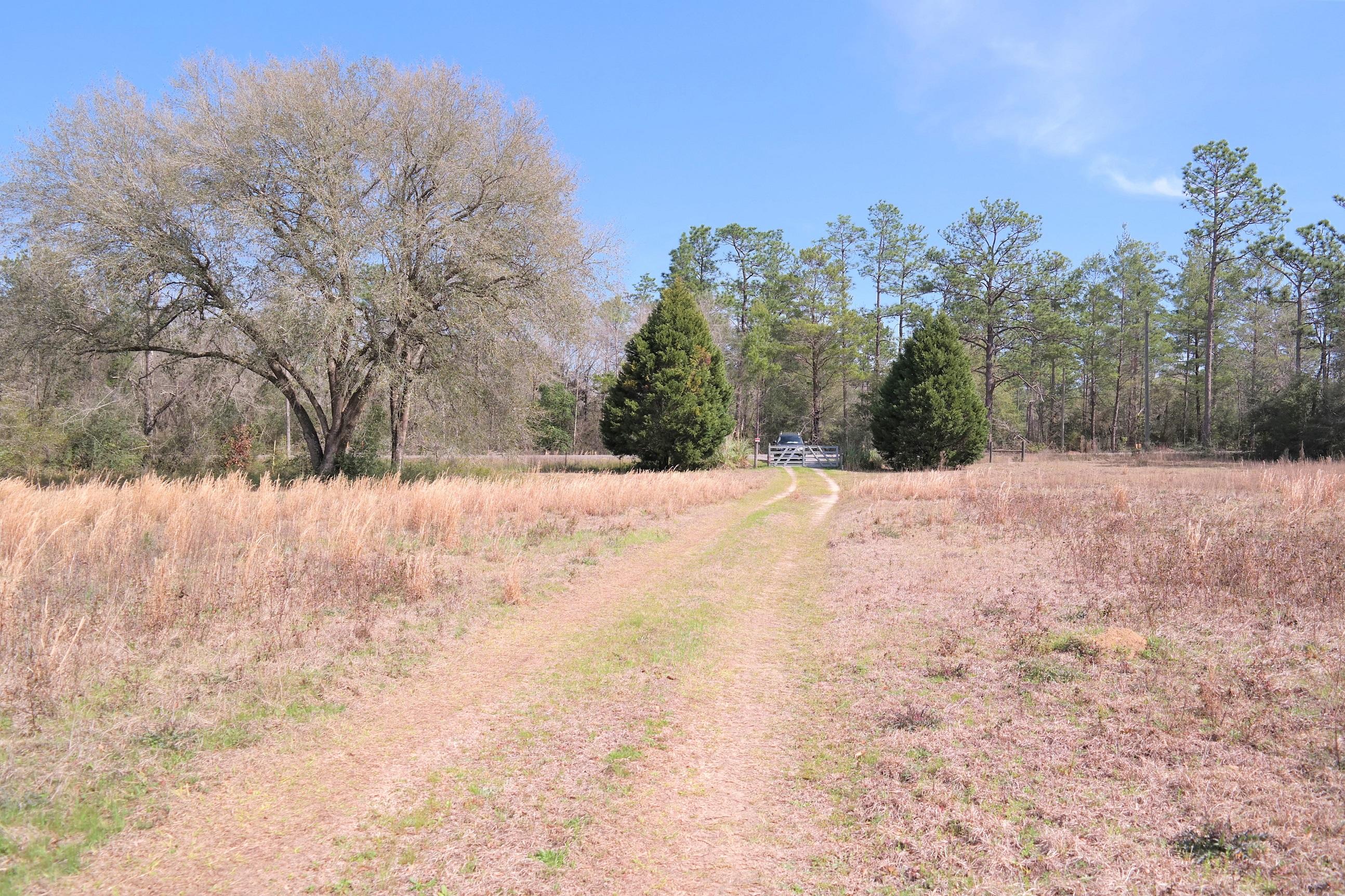 245 Engles Road DeFuniak Springs, FL 32433 - Photo 13 of 31 a view of snow covered with snow