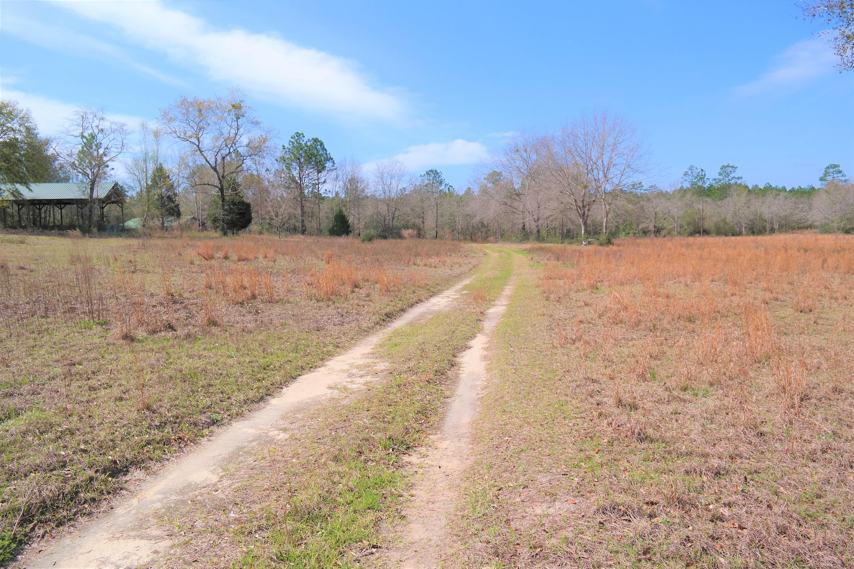 245 Engles Road DeFuniak Springs, FL 32433 - Photo 6 of 31 a view of a yard next to a building