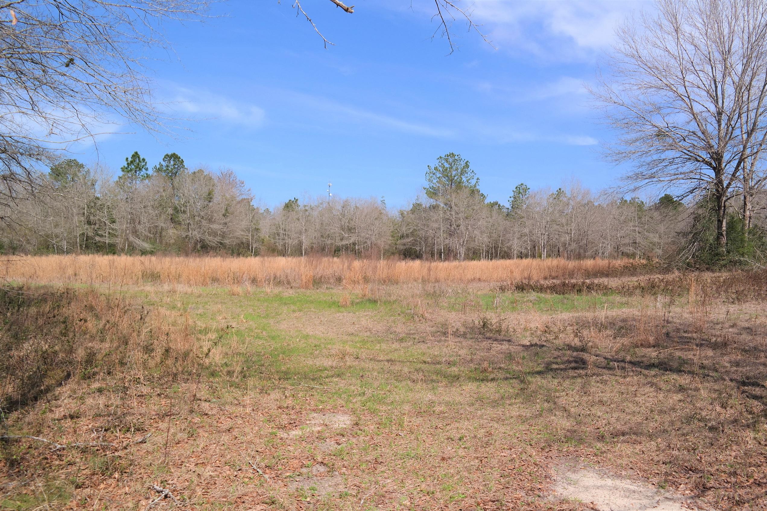 245 Engles Road DeFuniak Springs, FL 32433 - Photo 8 of 31 a view of lake and mountain