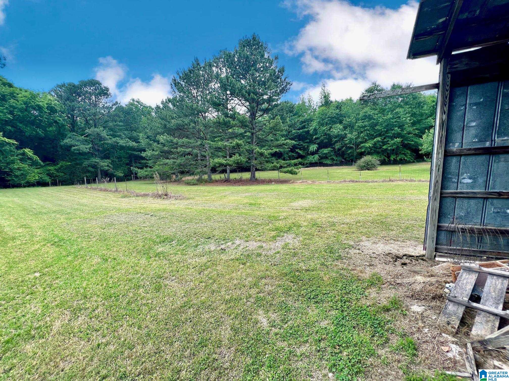 479 Benefield Gap Road Piedmont, AL 36272 - Photo 20 of 25