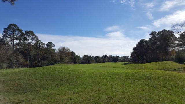 100 Craigend Loop Gulf Shores, AL 36542 - Photo 35 of 39