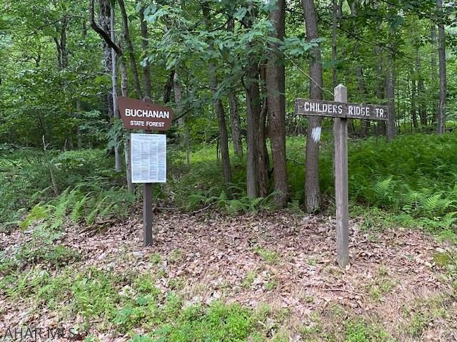 118 Childers Ridge Road Hopewell, PA 16650 - Photo 21 of 37 Gallery Image 21