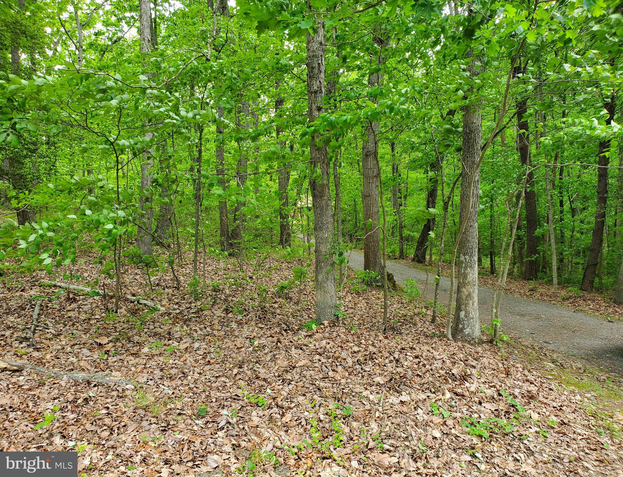 6304 Burr Hill Road Rhoadesville, VA 22542 - Photo 26 of 34 Front