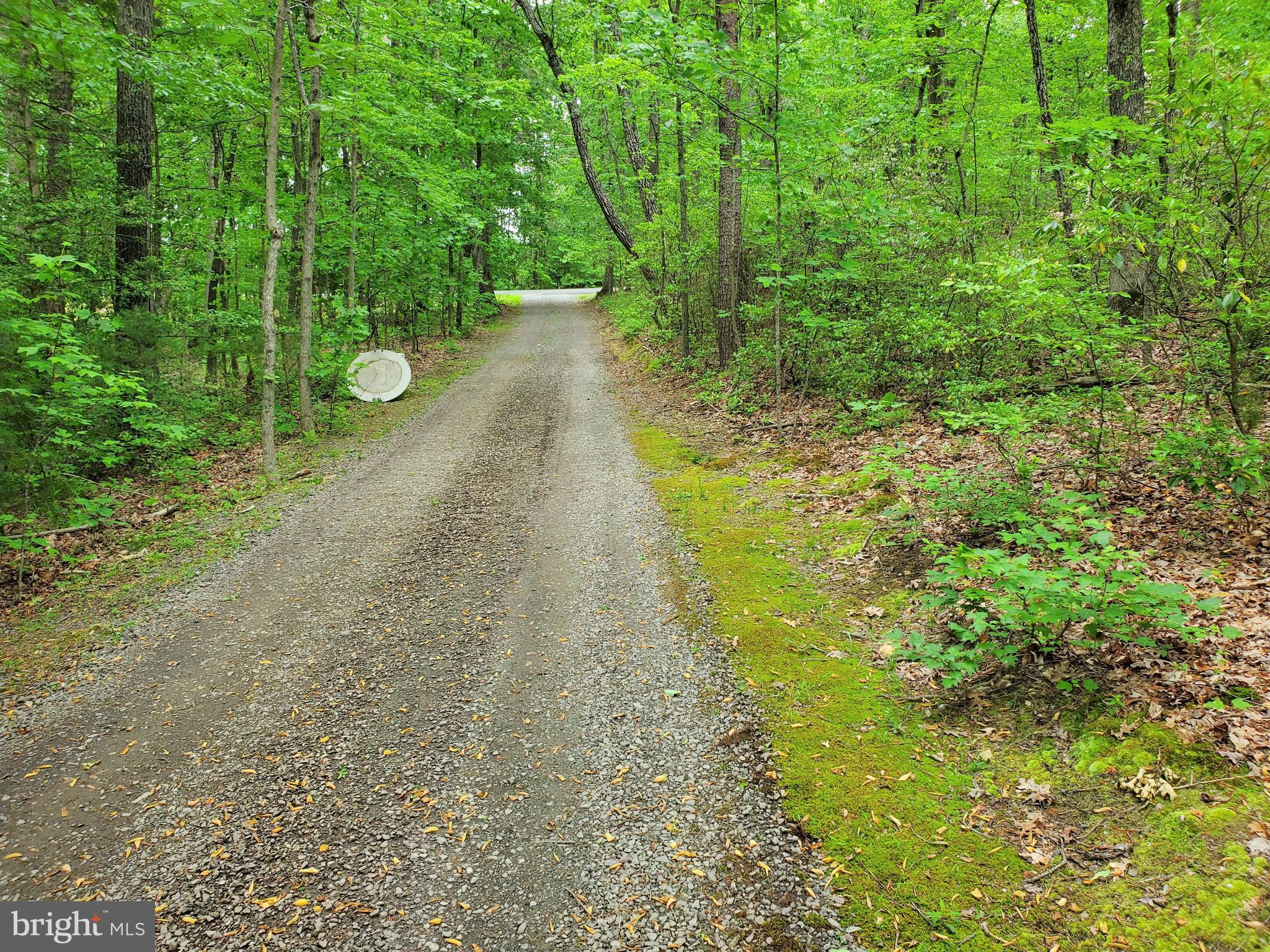 6304 Burr Hill Road Rhoadesville, VA 22542 - Photo 3 of 34 Looking towards Street