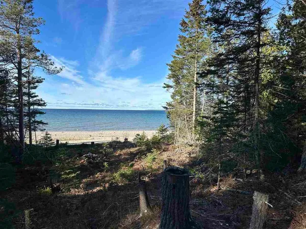 $275,000 | 32010 MRS Reddings Trail, Beaver Island, MI 49782
