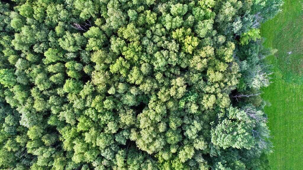 235 Burton Road Linneus, ME 04730 - Photo 105 of 105 woodland-me-farm