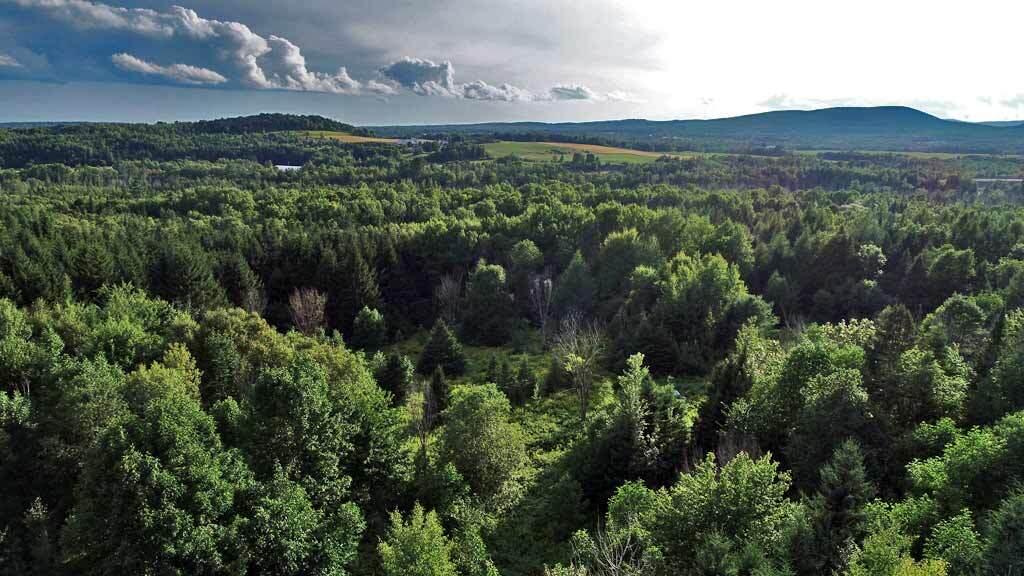 235 Burton Road Linneus, ME 04730 - Photo 15 of 105 farm-property-aroostook-aer