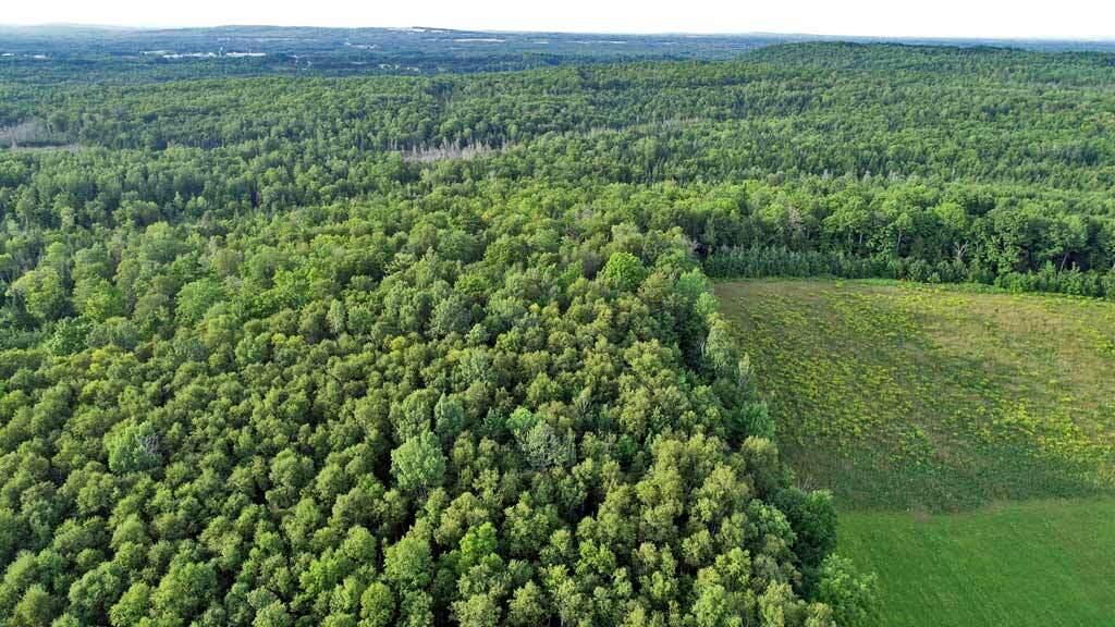 235 Burton Road Linneus, ME 04730 - Photo 70 of 105 farm-land-northern-me