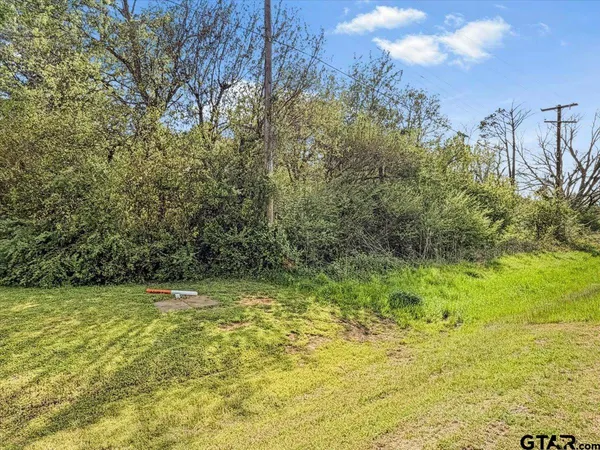 a view of a yard