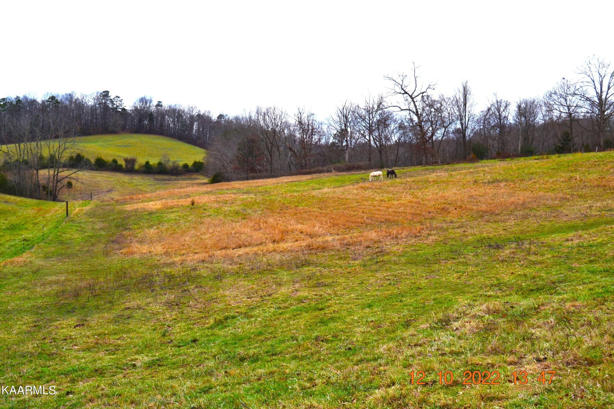 4 Cain Road Sharps Chapel, TN 37866 - Photo 3 of 17 Gallery Image 3