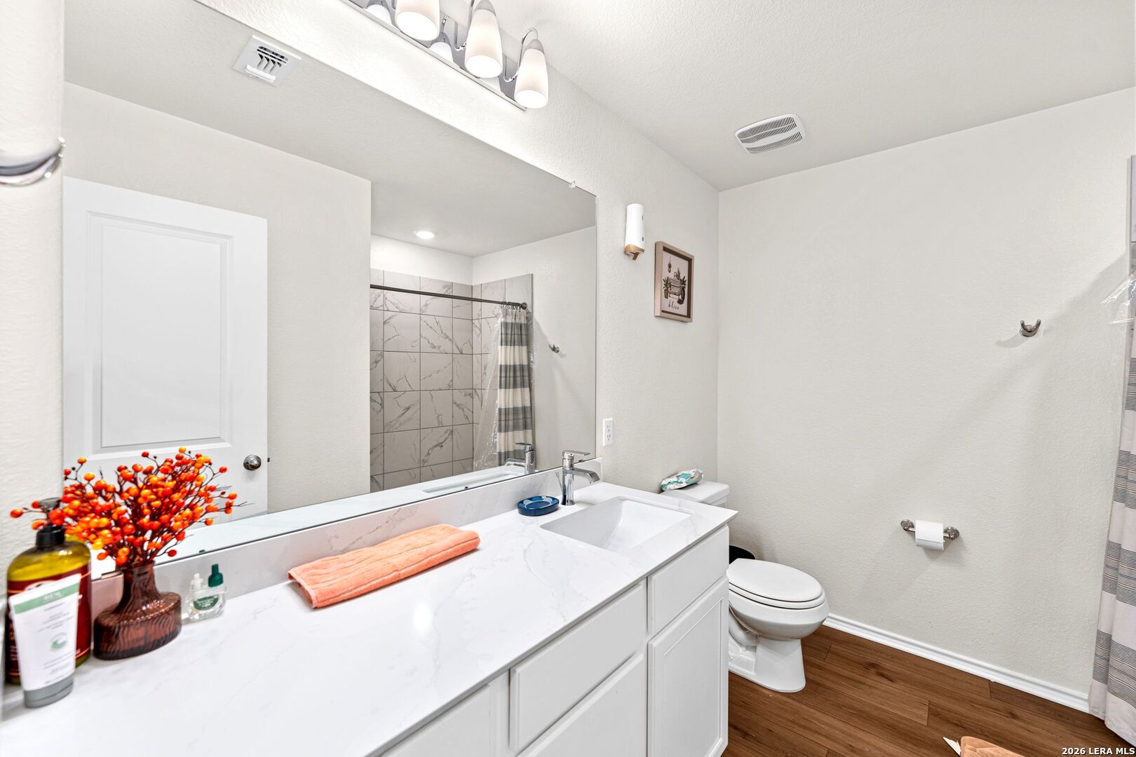 1029 Santiam Street Georgetown, TX 78626 - Photo 20 of 37 a bathroom with a sink mirror and toilet