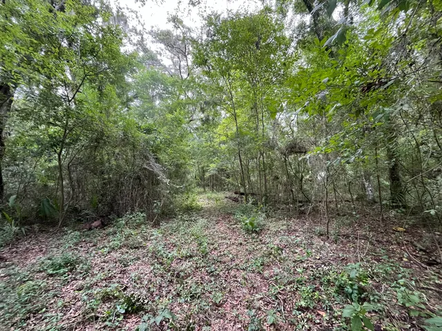 $29,800 | Tbd Northwest 65th Street, Ocala, FL 34475