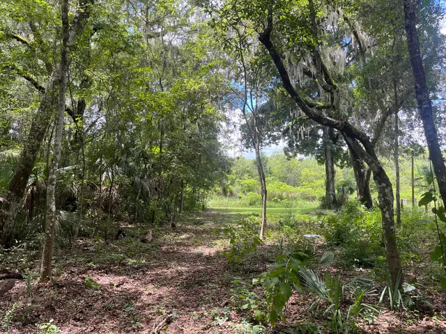 $29,800 | Tbd Northwest 65th Street, Ocala, FL 34475