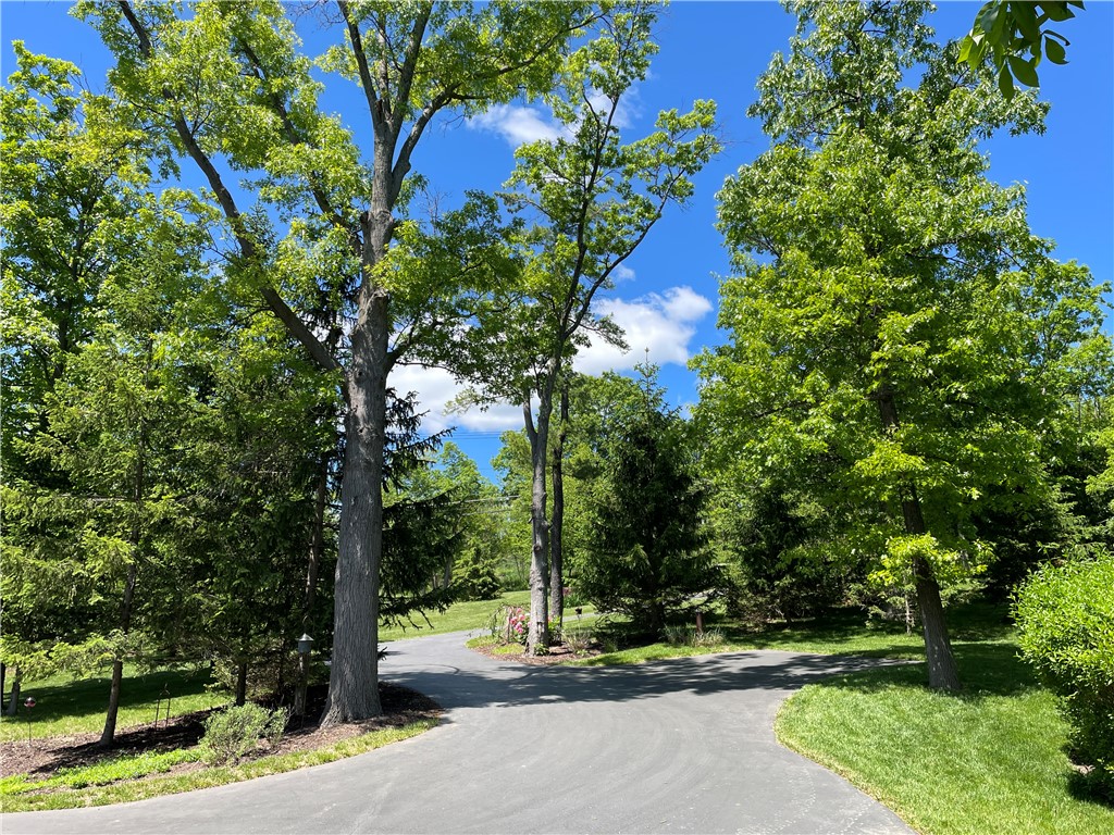5491 Seneca Point Road South Bristol, NY 14424 - Photo 48 of 50