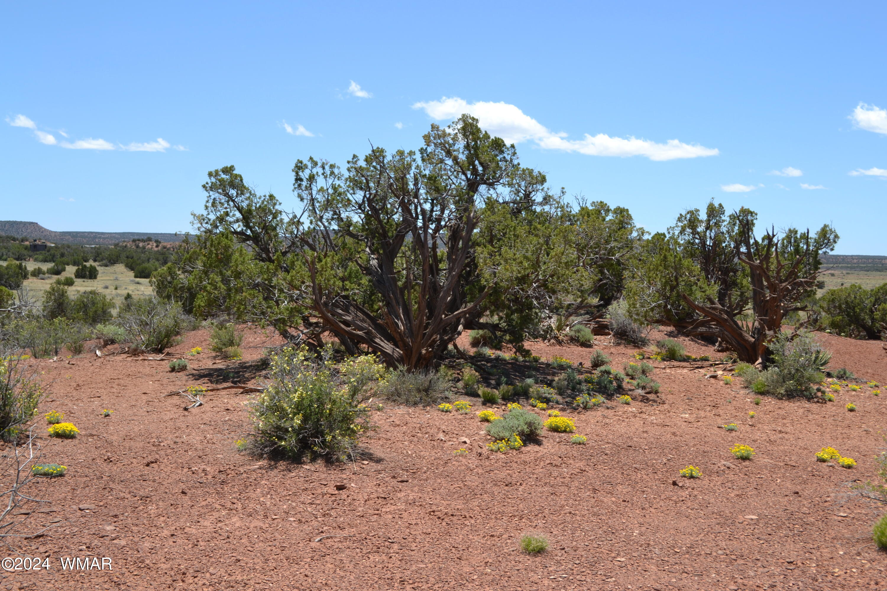 3733 Del Contento Snowflake, AZ 85937 - Photo 41 of 72 DSC_0151