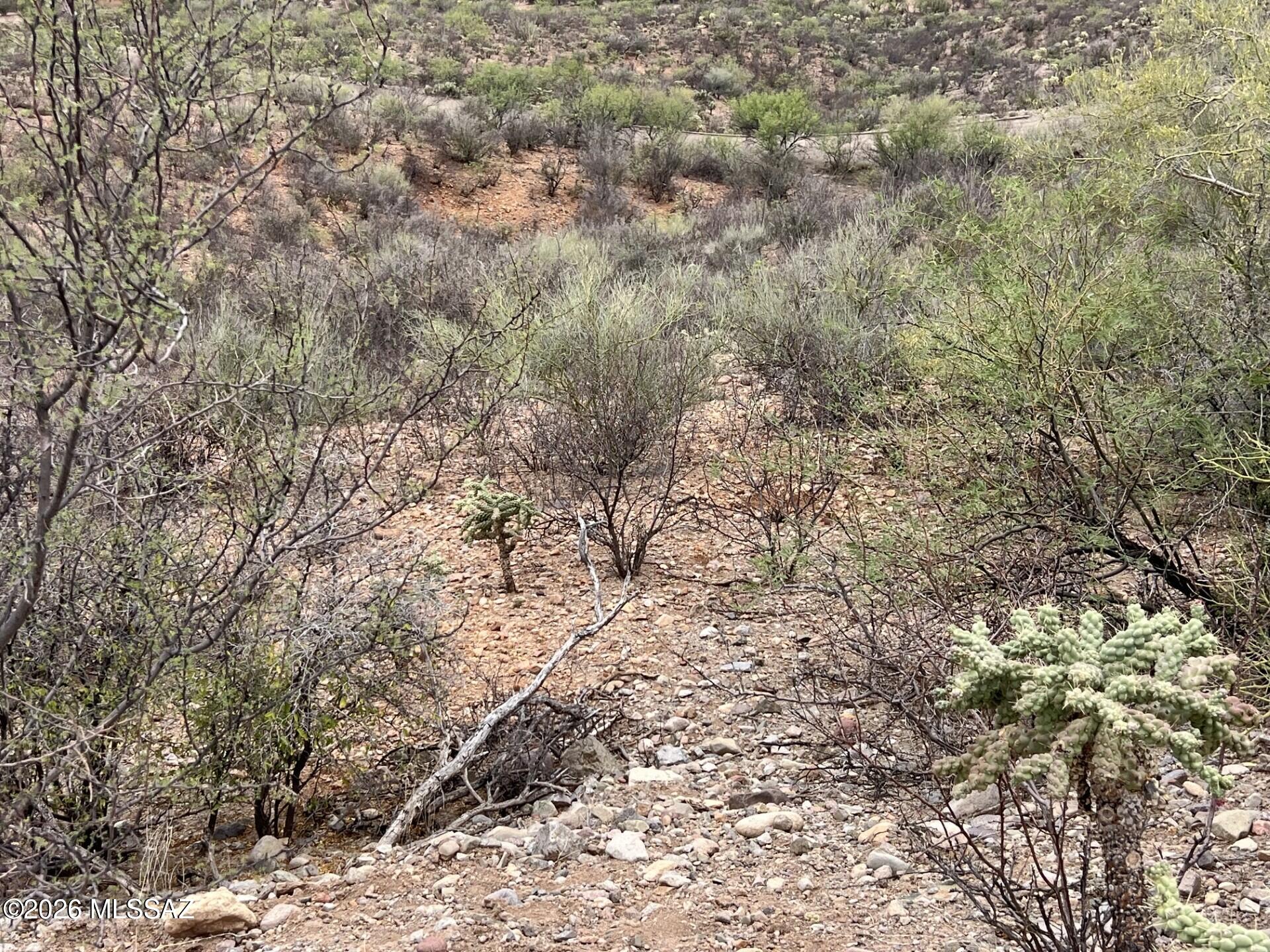 1835 Camino China, Unit 3 Rio Rico, AZ 85648 - Photo 9 of 19 a9a53836-76f8-4a5c-b074-43336a8c3651