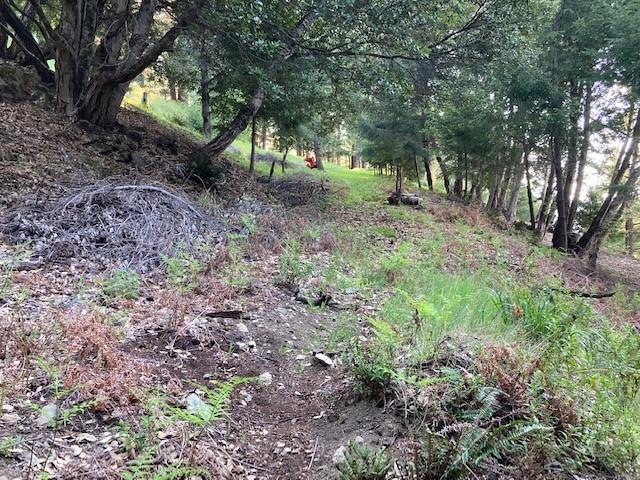 10 Gale Point Whitethorn, CA 95589 - Photo 12 of 20 leach field
