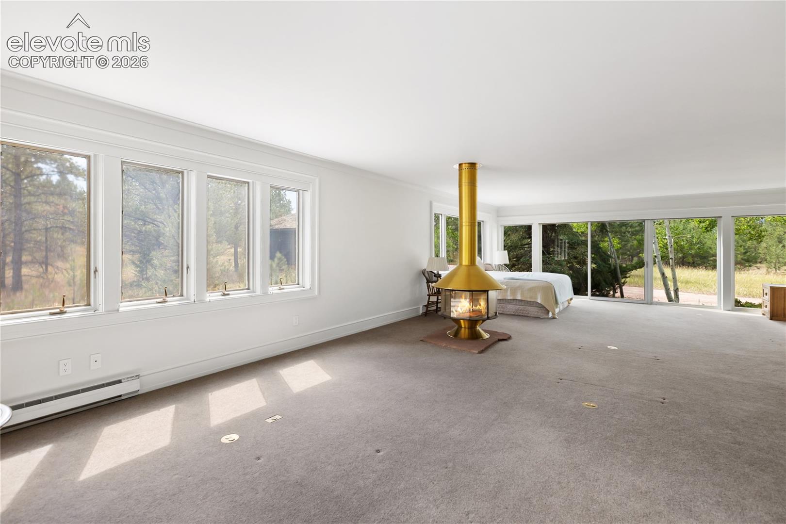 580 Mills Ranch Road Woodland Park, CO 80863 - Photo 7 of 26 Gallery Image 7
